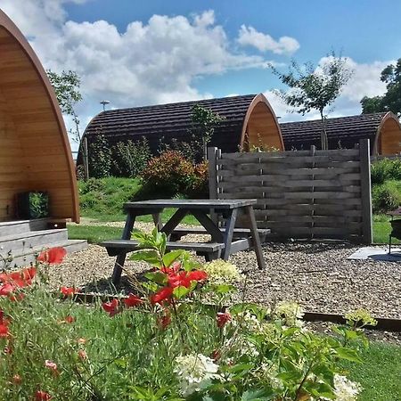 切尔滕纳姆 Buttercup Glamping Pod酒店 外观 照片